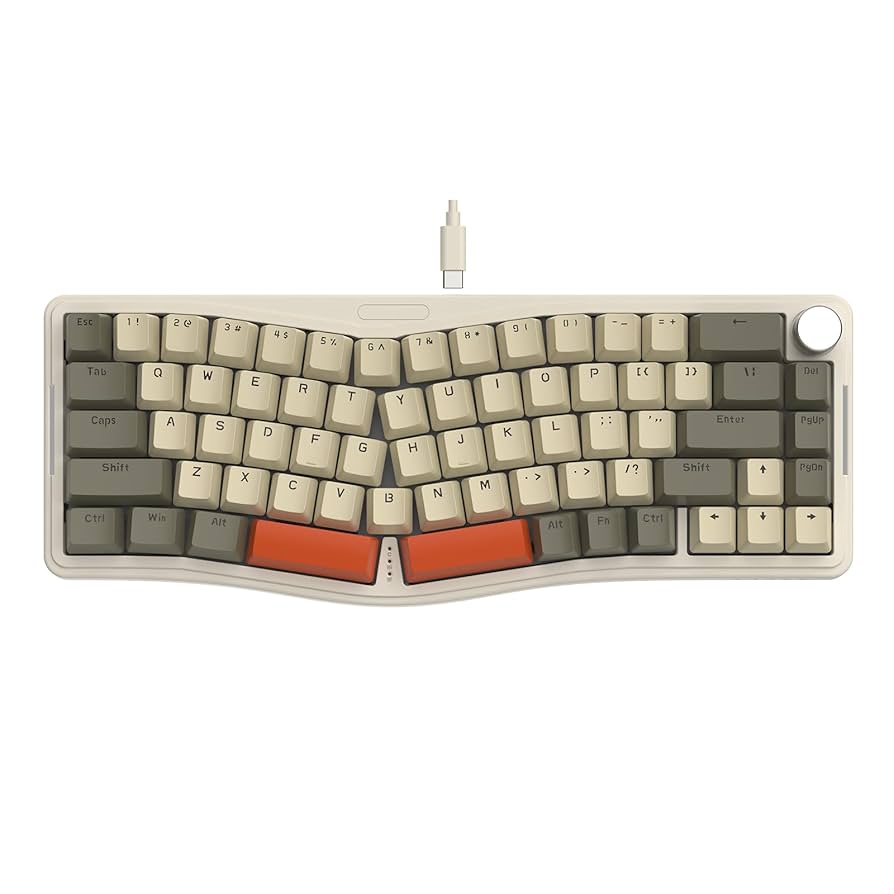 キーボード BOXXX KEYCAP THINK_P.Terribilis BOXXX KEYCAP THINK_P.Terribilis